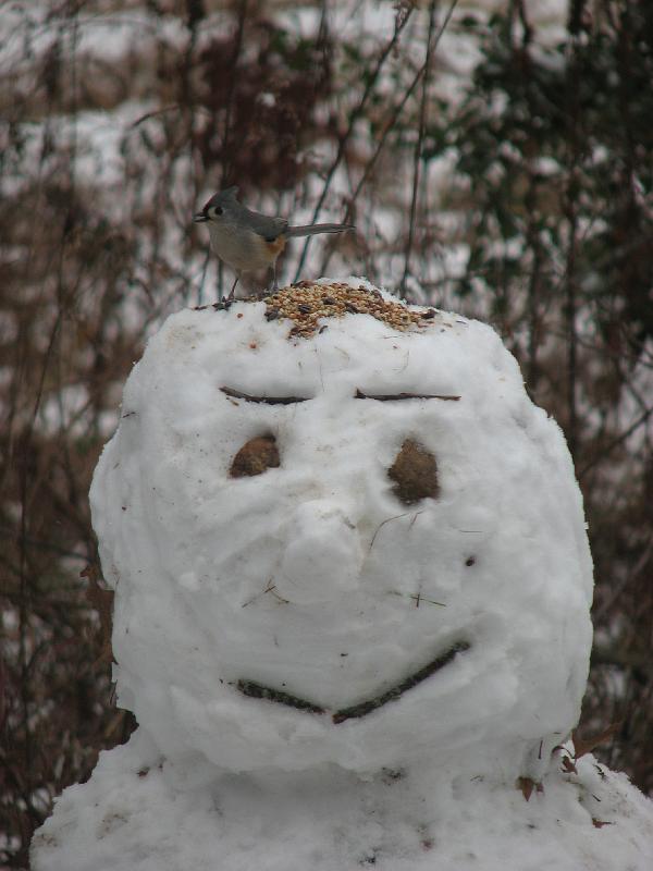 2008-12-07_First_Snow_2nd_set 007.jpg